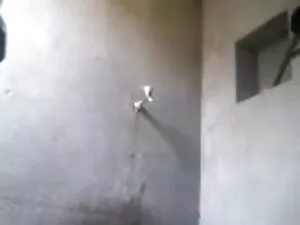 किन्नर सड़क पर मिले  ...