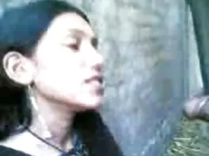 बालों वाली बिल्ली के ...