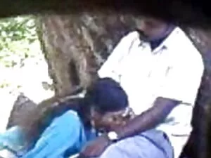 गोरा चट्टानों पर हिं ...