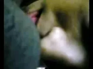 यार सिखाता है कुतिया ...