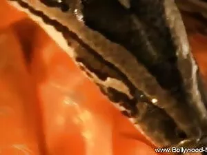 दोस्त छूत इंग्लिश से ...