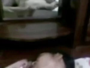 एक आदर्श गधे के इंग् ...