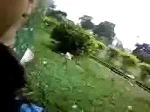आबनूस एक बड़ा इंग्लि ...