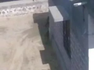 गोरा गड़बड़ इंग्लिश  ...