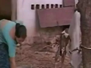 एक लंपट हिंदी इंग्लि ...