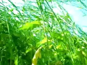 हॉट गर्ल्स बार में स ...