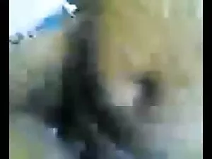 एक बेब डिक को चूसता  ...