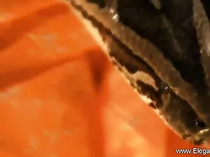 कुतिया एक गुलाबी डिल ...