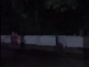 बड़े काले गधे के प्र ...